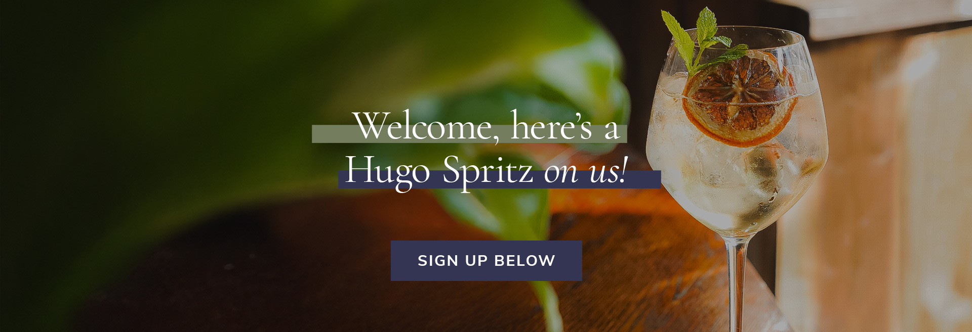 Sign up to the newsletter at The Gipsy Moth