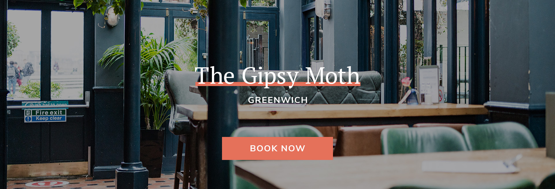The Gipsy Moth Banner 3